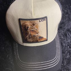 Lions Embroidered Hat