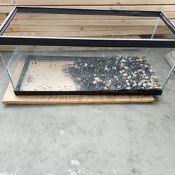 Turtle Aquarium 