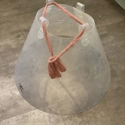 Large Dog - Cone of Shame