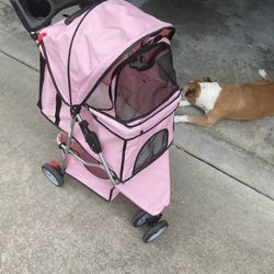 Pet Stroller