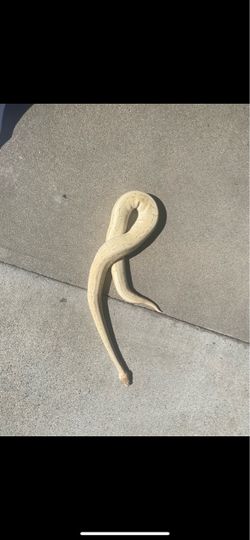 Toy