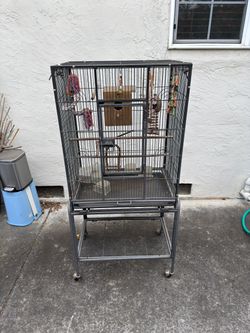 Bird Cage with bird accessories / toys