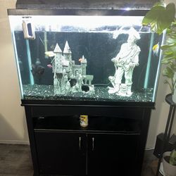 Fish Tank 