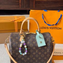 LV Speedy Bag 
