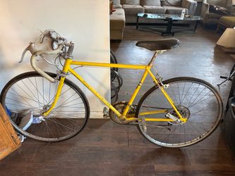 Schwinn 10 speed bike