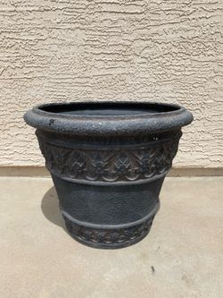 Pot