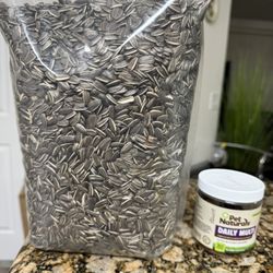 Free Food For Birds And Dog  