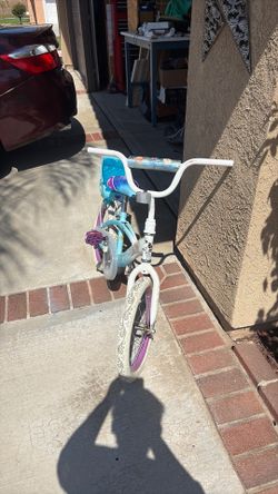 Frozen bike