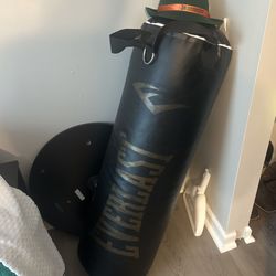 Everlast Punching Bag