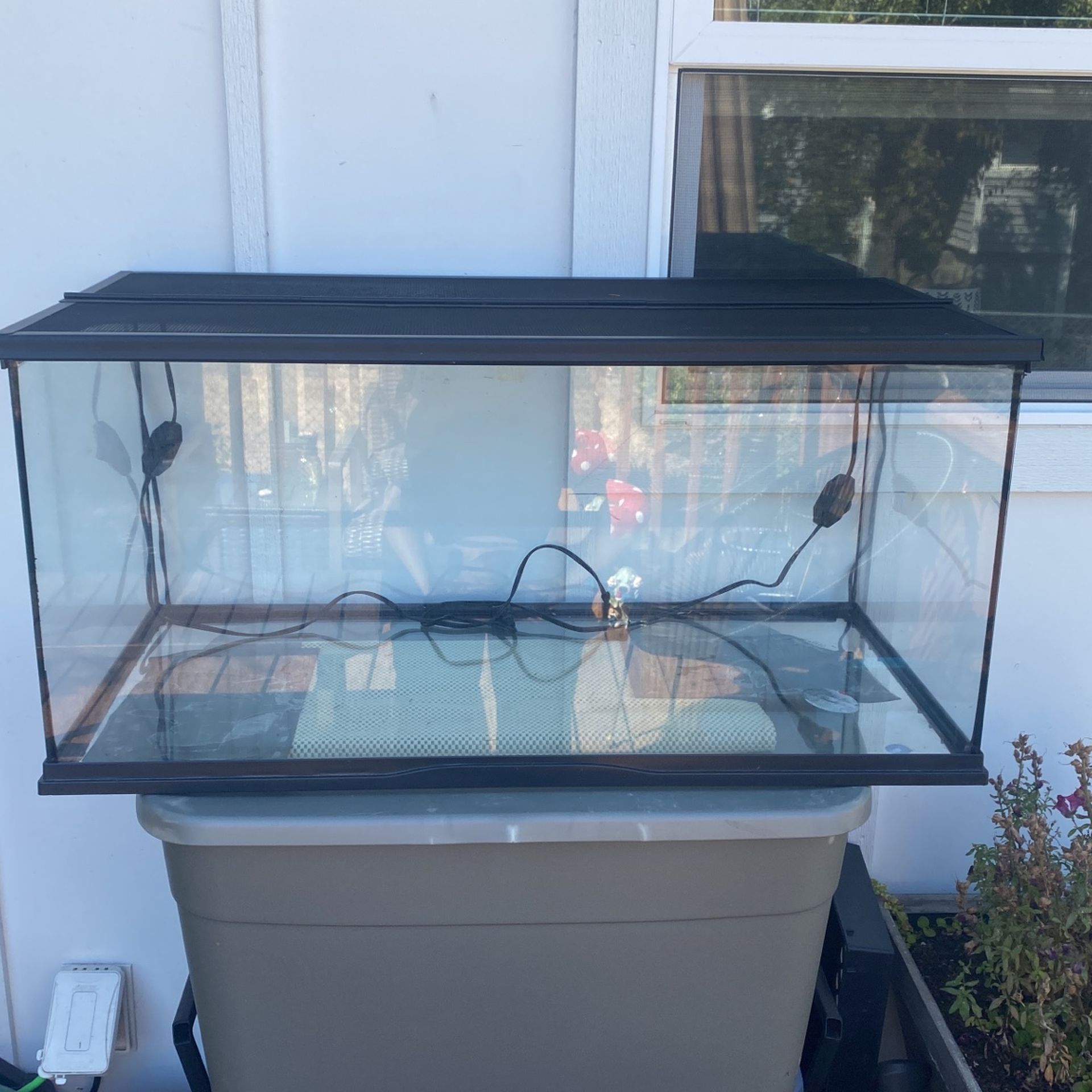 40 Gallon Reptile Tank
