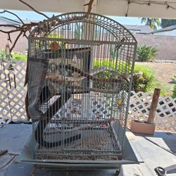 Large Bird Cage/ Bird Condo