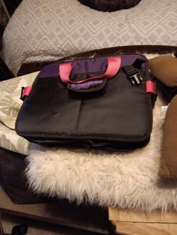 Dog Car Seat
