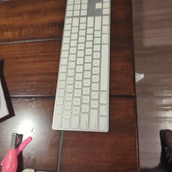Magic Keyboard And Mouse