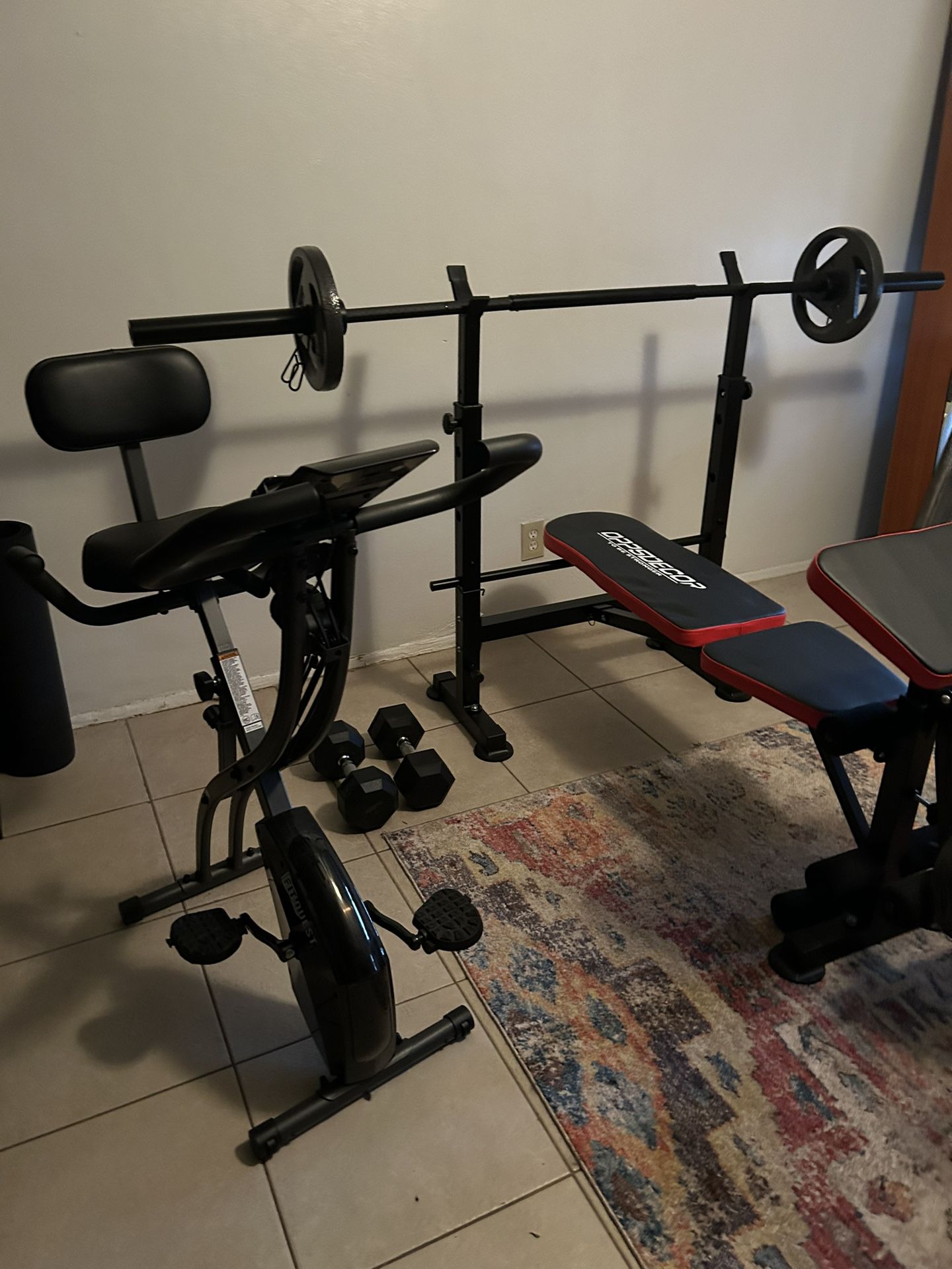 New Bench with Leg and bicep Function 