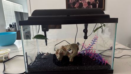 20 gallon tank