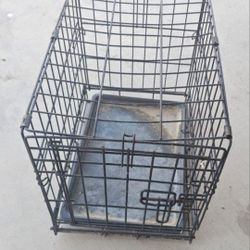 Small Cage For Cat Jaula 