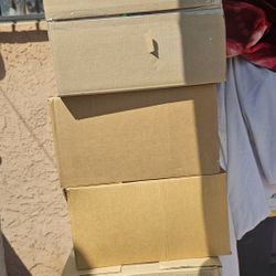 Cajas De Pañales De Adultos 