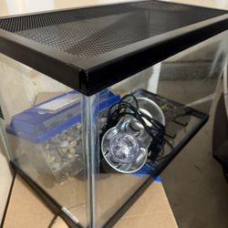 10 Gallon tank