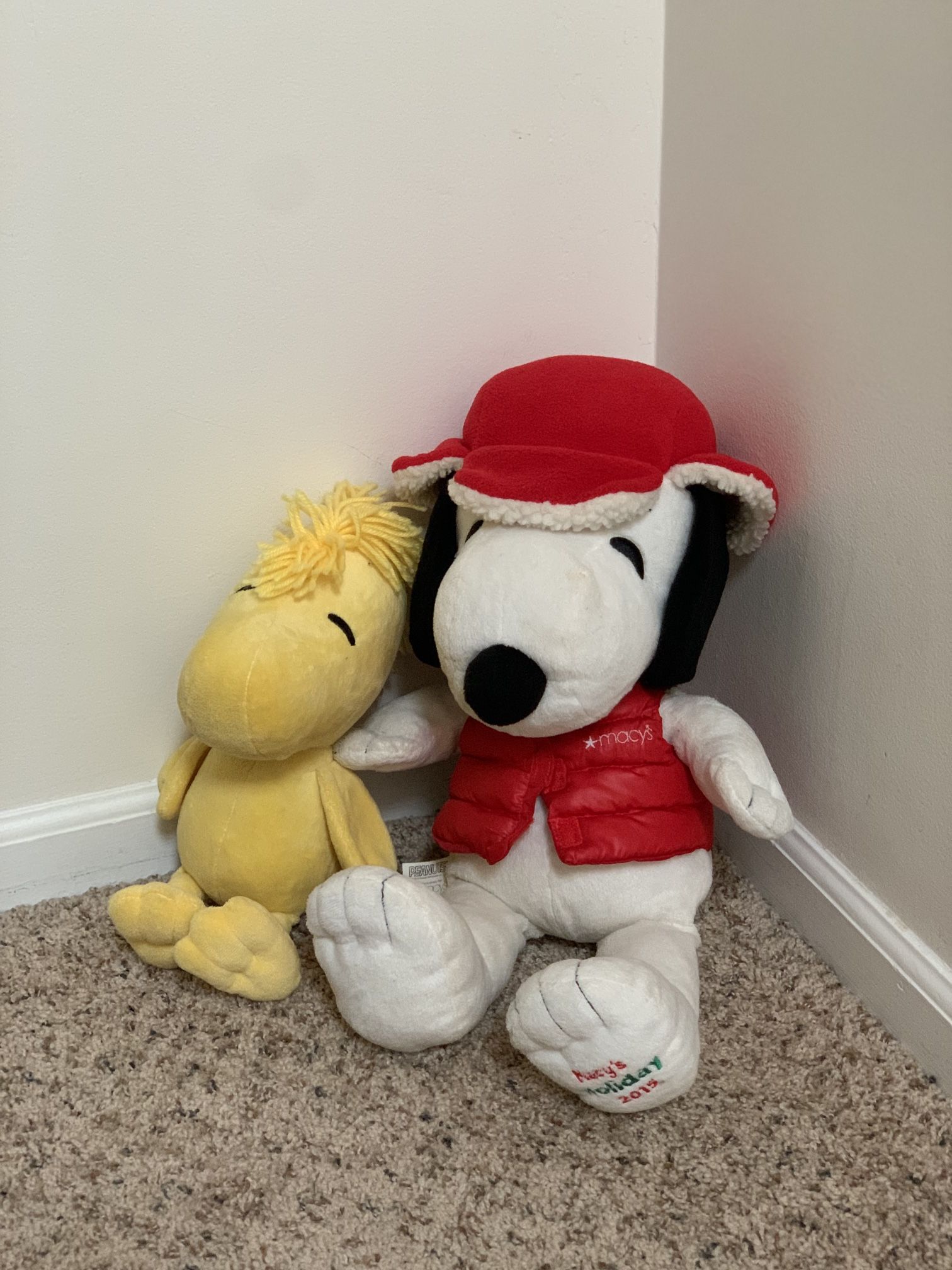 Snoopy And Woodchuck