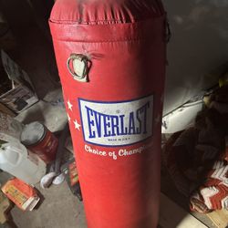 Vintage everlast Punching Bag  $80