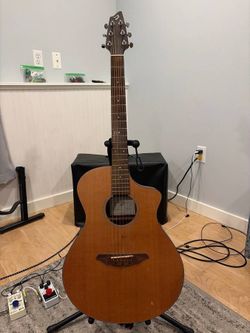 Breedlove Passport c25ce acoustic electric guitar