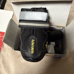 Dog / Qumy Shoes