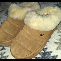 Ugg Slippers
