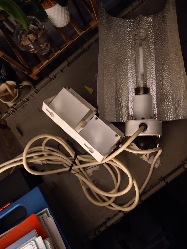 HYDRO FARM GROW LIGHT + 2 PLANTS INCL.