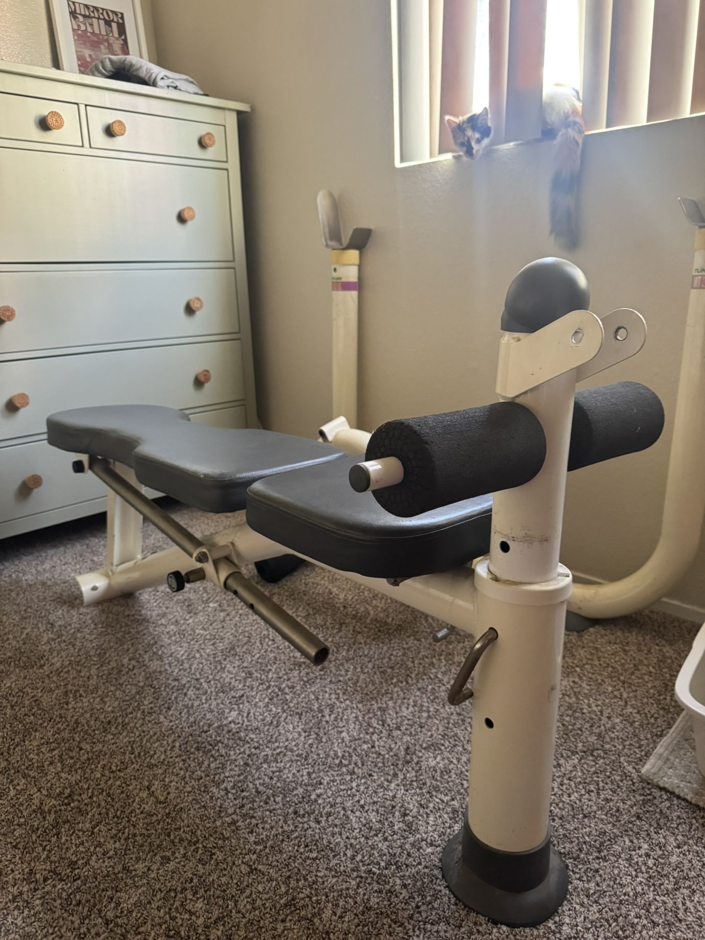 Tunturi MT360 Olympic Weight Bench