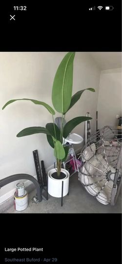 Flower tree
