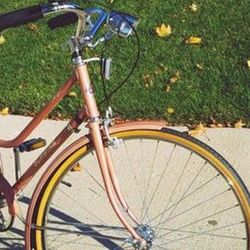 1978 Girls Schwin 24" original