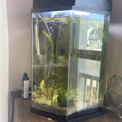 Fish tank