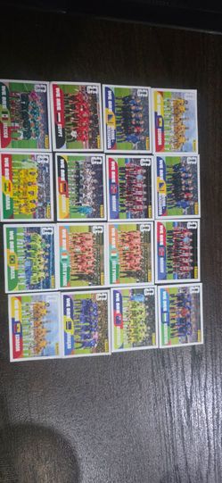 TEAM WORLD CUP STICKERS  #13'S