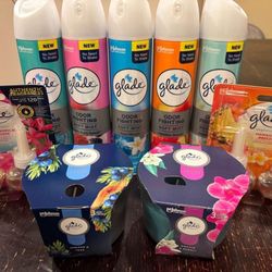 Glade Household Bundle. Glade Spray and mist, glade candles, glade refill plug ins. Everything $25