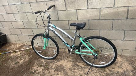 men and womens bike