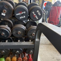 Dumbbell Set 45 Lbs 