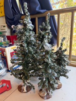 Village Flocked Pine Trees