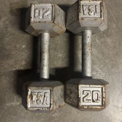 20lb Dumbbell 