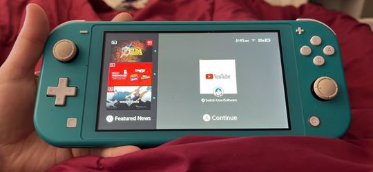 Nintendo switch