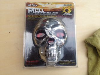 Truck hitch skull with light