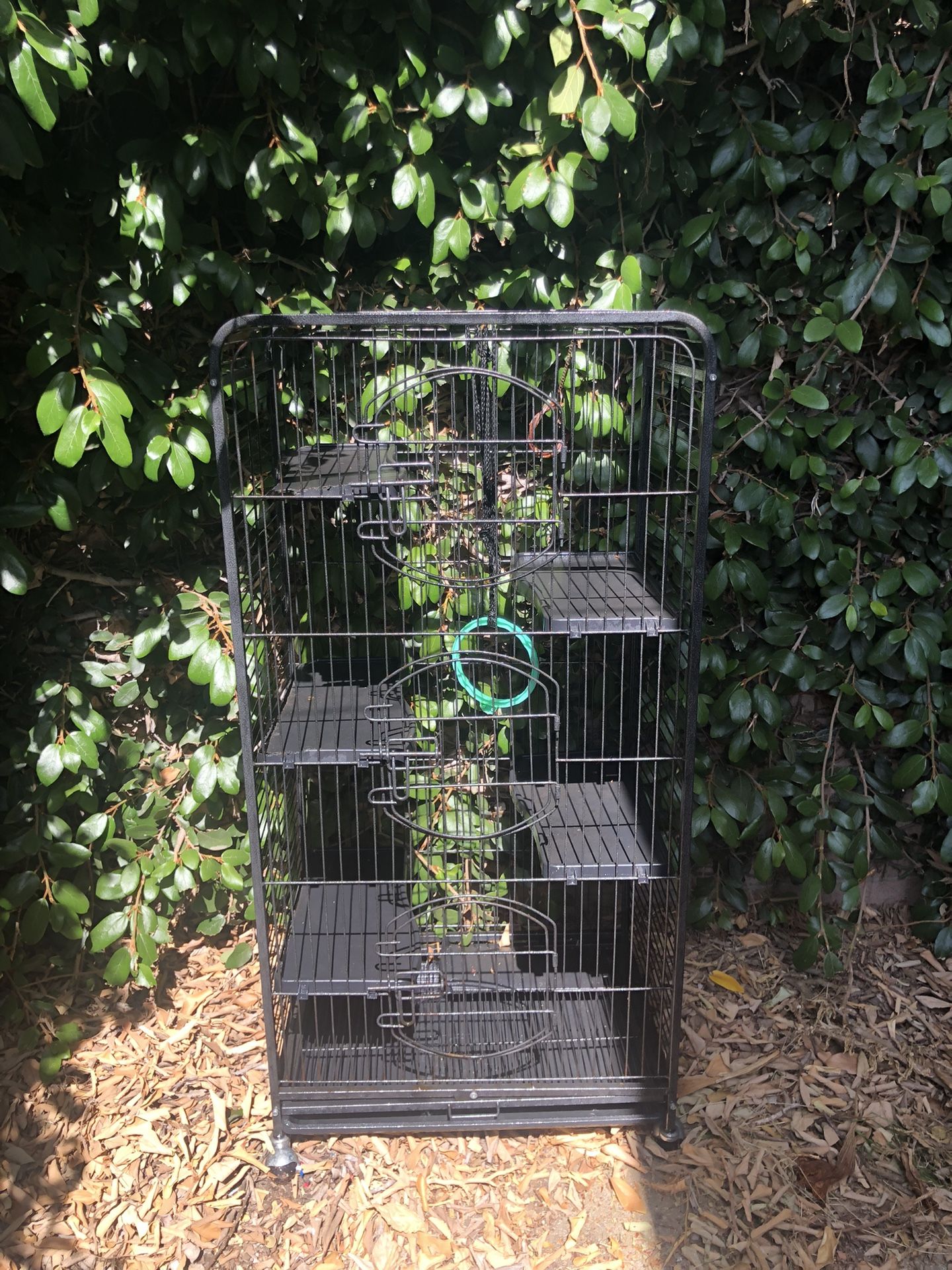 Animal Cage 100$