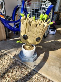 XL Groot