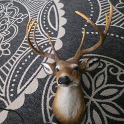 Deer Head Wall Hanger 