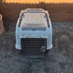 Dog House