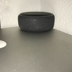 Amazon Echo Alexa