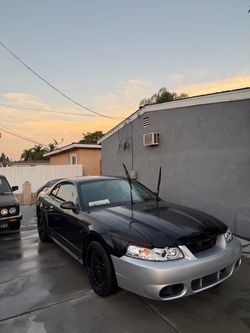 2000 Ford Mustang
