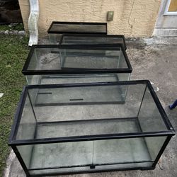 4 Tanks 3 Fishtanks And One Reptile Tank