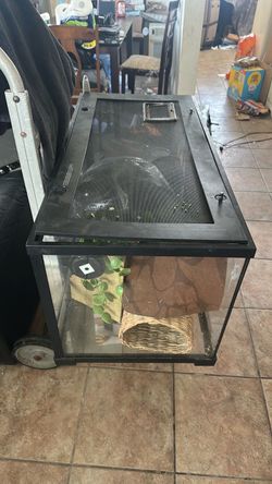 Lizard tank kit