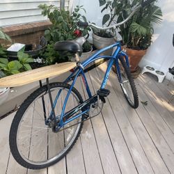 Cruiser Bike