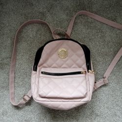 Pink Purse Back Pack